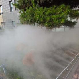 景观造雾系统